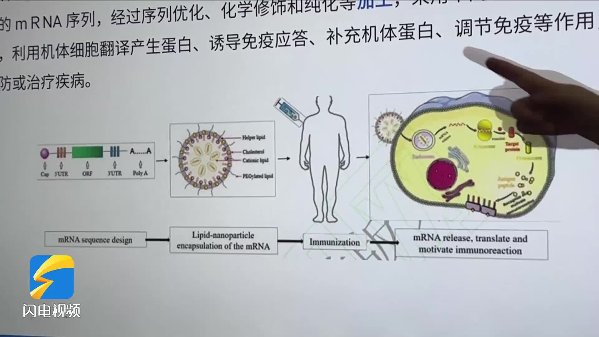 解決“卡脖子”問題！山東生物醫藥企業攻克信使核糖核酸重要技術難關