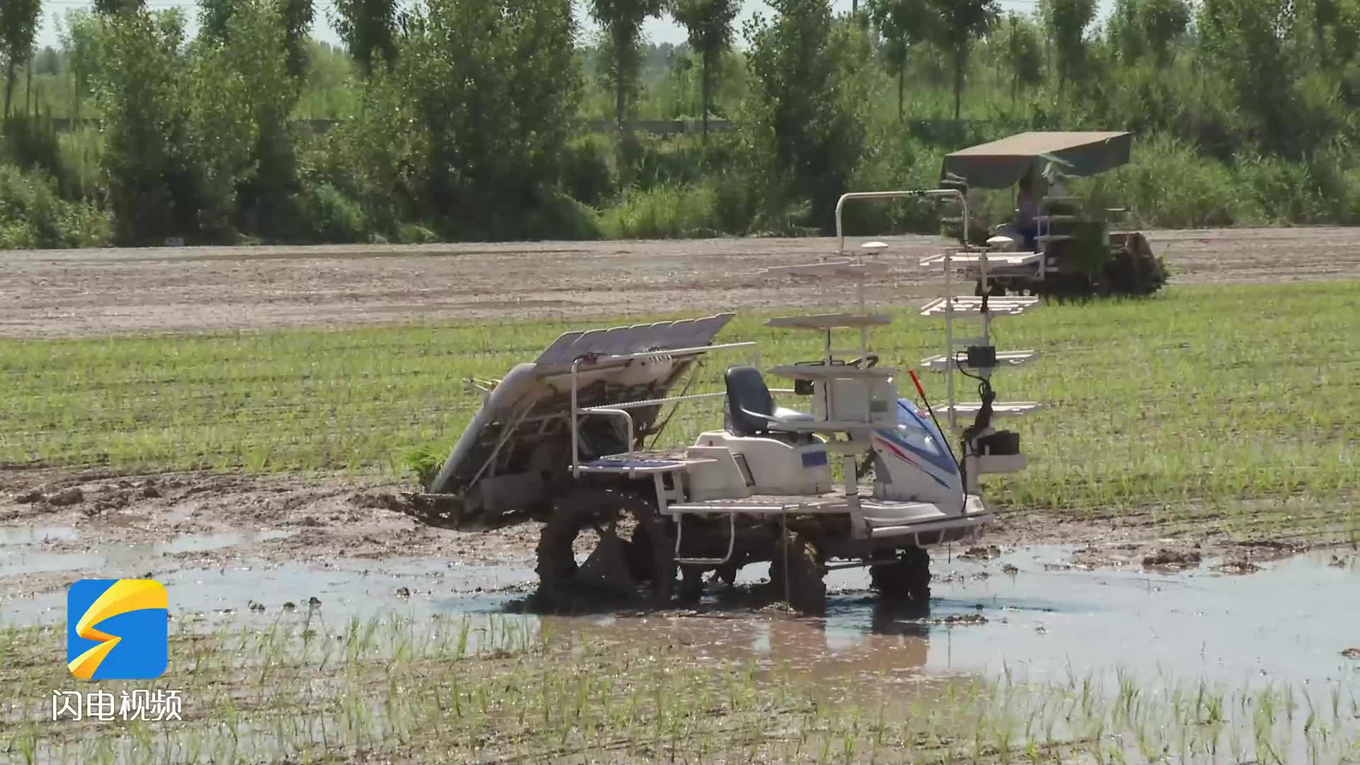 智慧农机助力乡村振兴 济南高新区水稻种植再上高科技