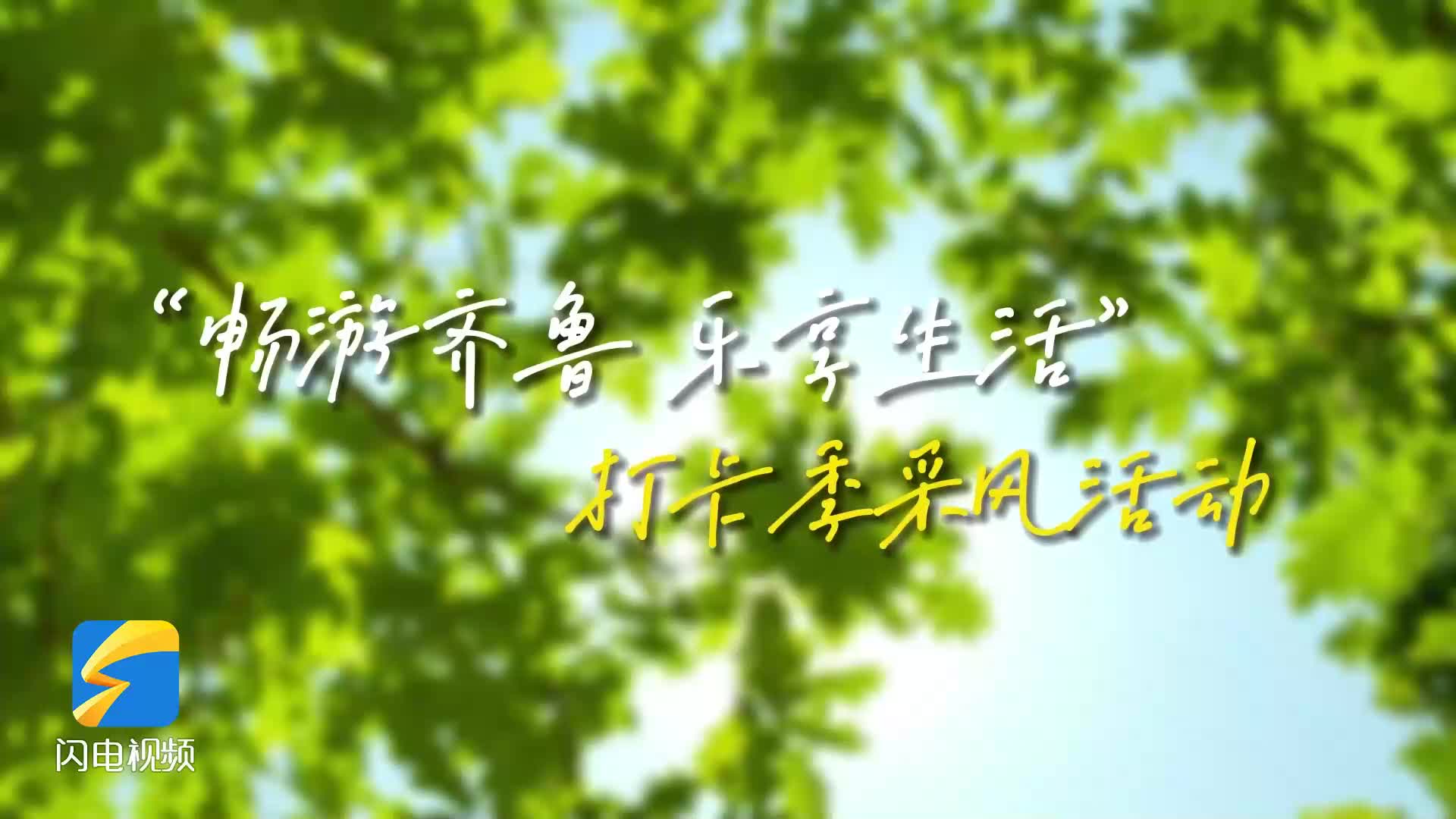 2.6億粉絲，2.2億傳播量！“暢游齊魯 樂享生活”打卡季采風活動圓滿收官