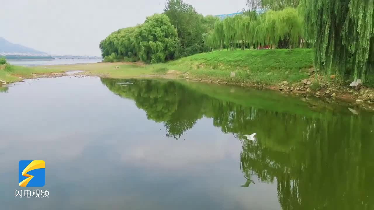 天平湖上白鹭飞