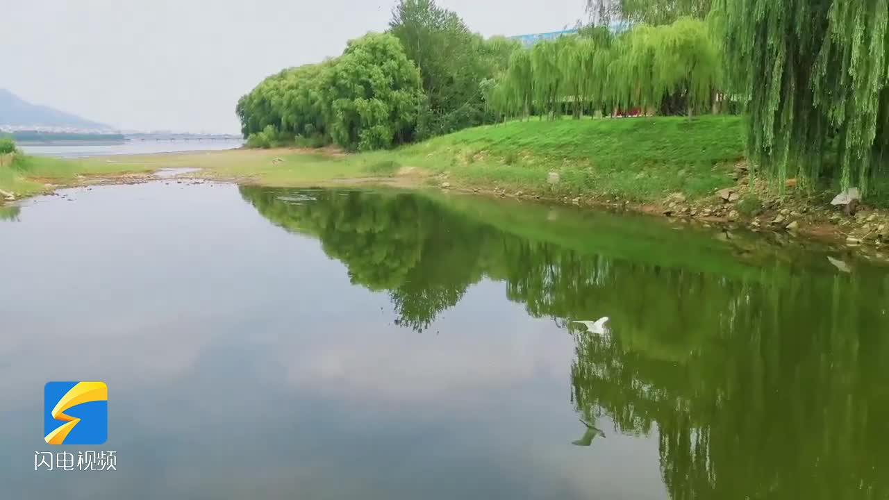 天平湖上白鷺飛