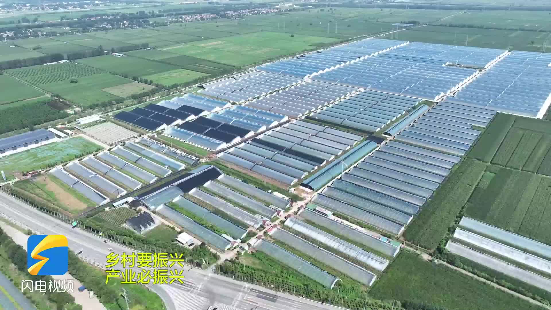 枣庄台儿庄：“按揭农业”成为农民增收致富新引擎