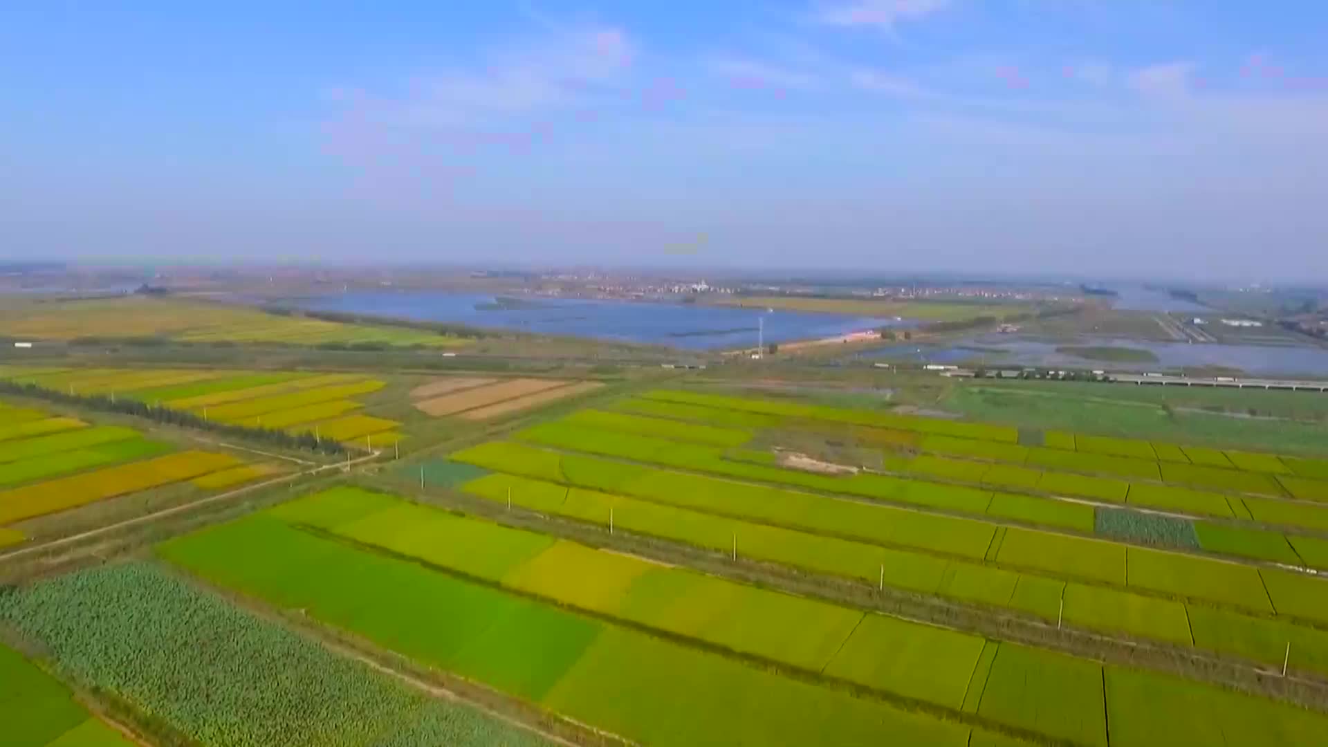 东营市垦利区千亩土壤大改良盐碱地变身生态粮仓