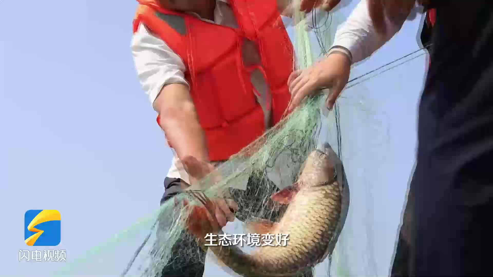村村有好戏丨起网如同“开盲盒”！东平湖孕育48种经济鱼类成为渔民“聚宝盆”