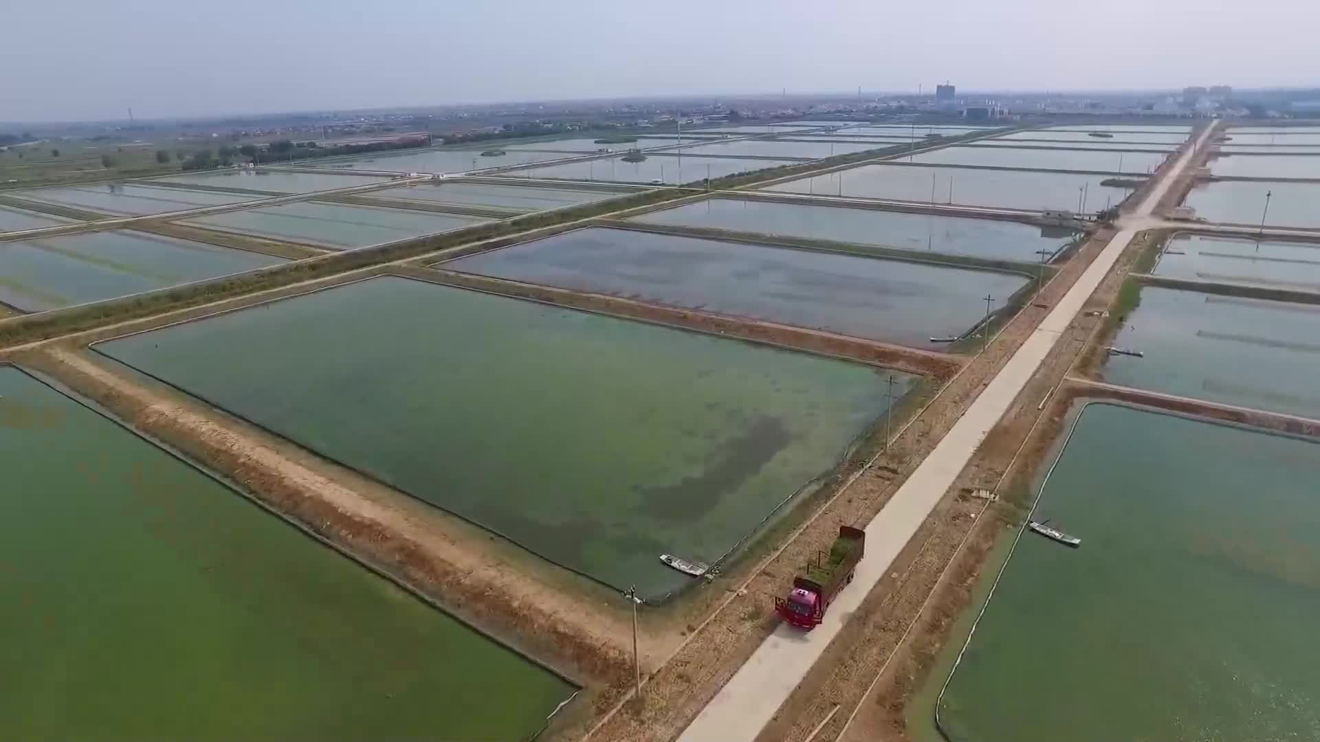 东营黄河口大闸蟹蝉联中国十大名蟹称号