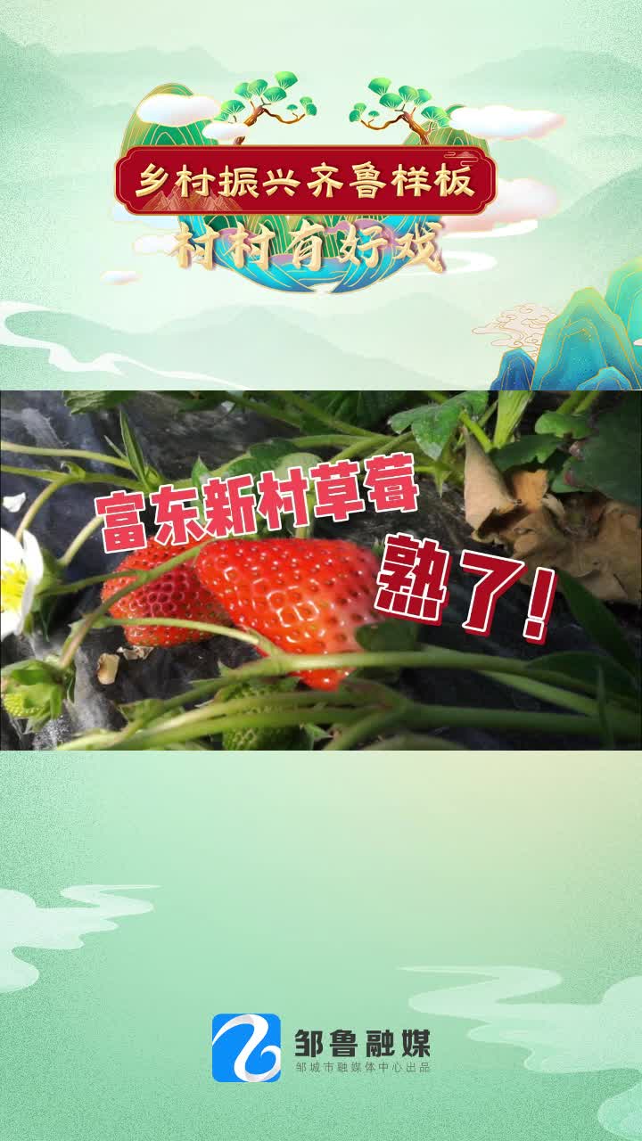 【邹视频·新闻】40秒 | 富东新村草莓熟了！