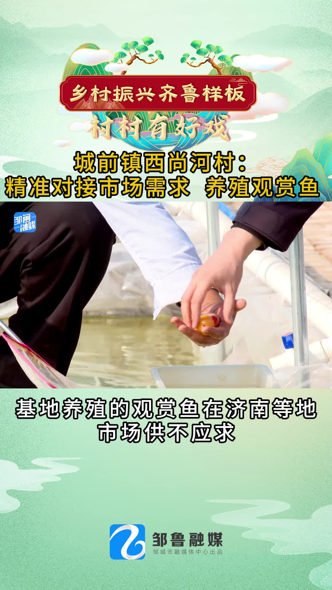 【邹视频·新闻】63秒 |城前镇西尚河村：精准对接市场需求  养殖观赏鱼
