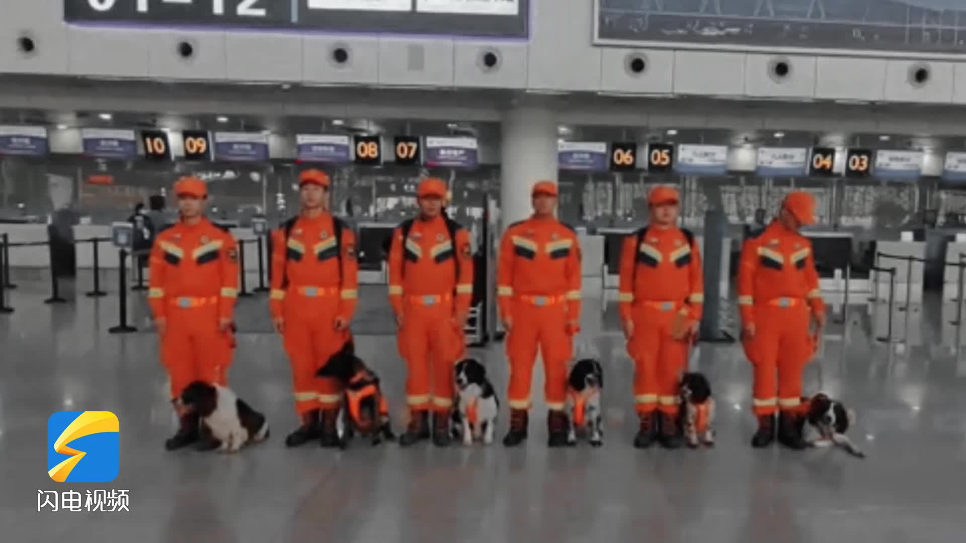 山东消防搜救犬机动专业支队完成集结 即将奔赴甘肃
