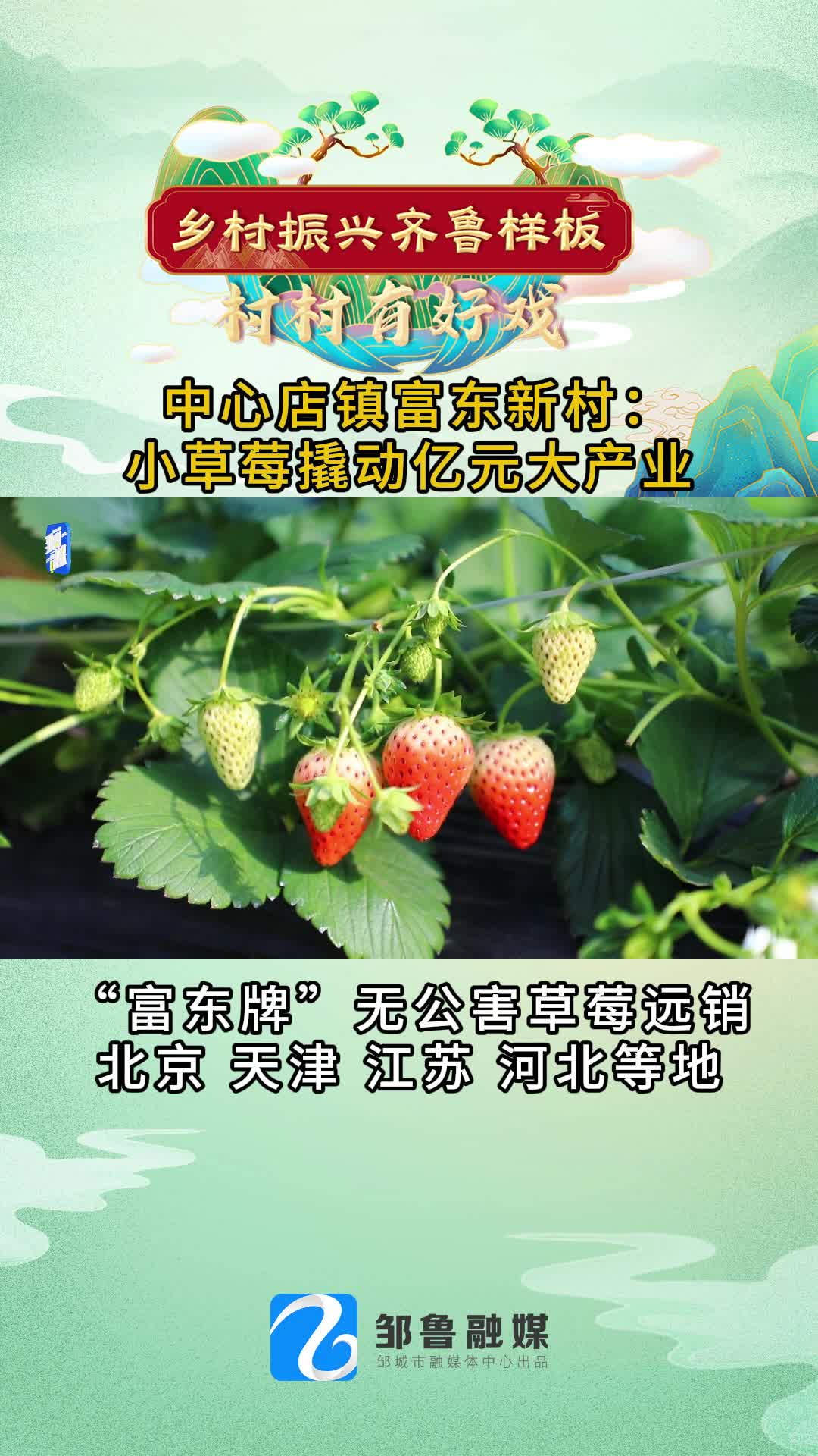 【邹视频·新闻】53秒 |中心店镇富东新村：小草莓撬动亿元大产业