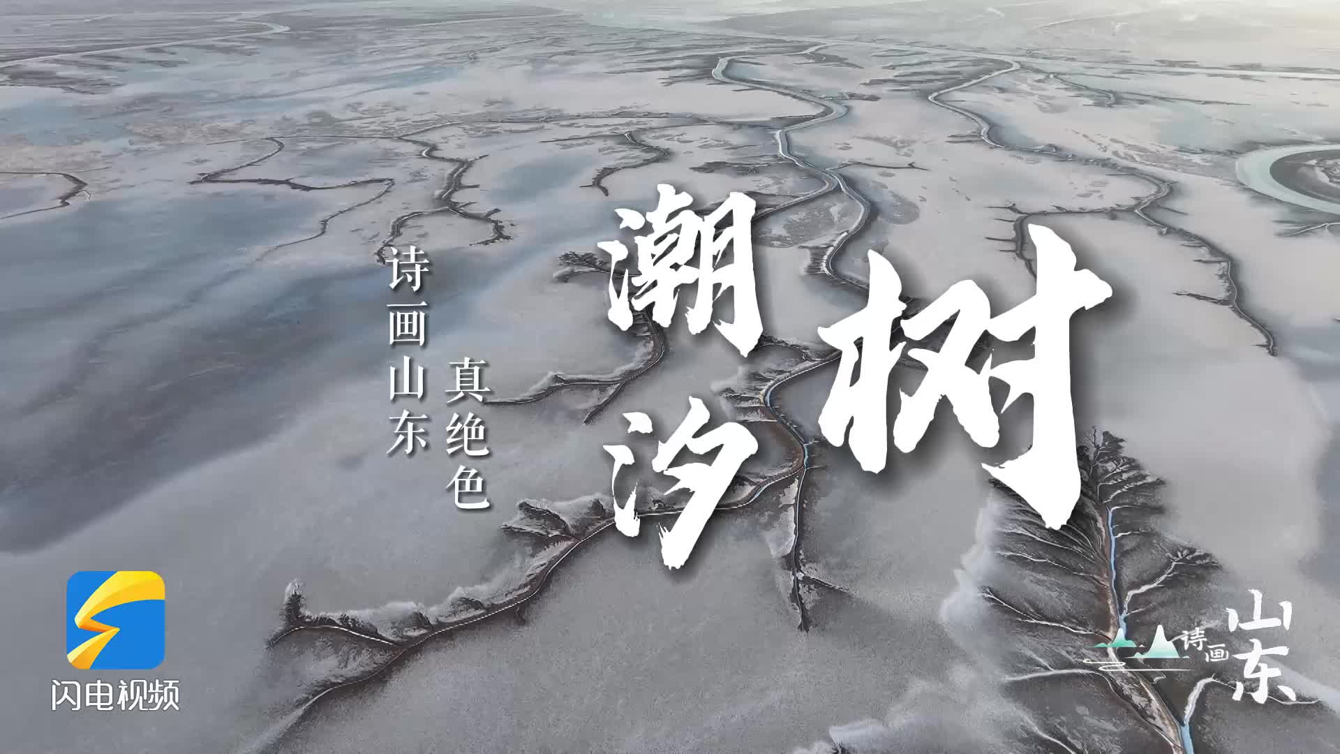 诗画山东真绝色•潮汐树丨画面太美！黄河入海口湿地现“冰雪潮汐树”景观