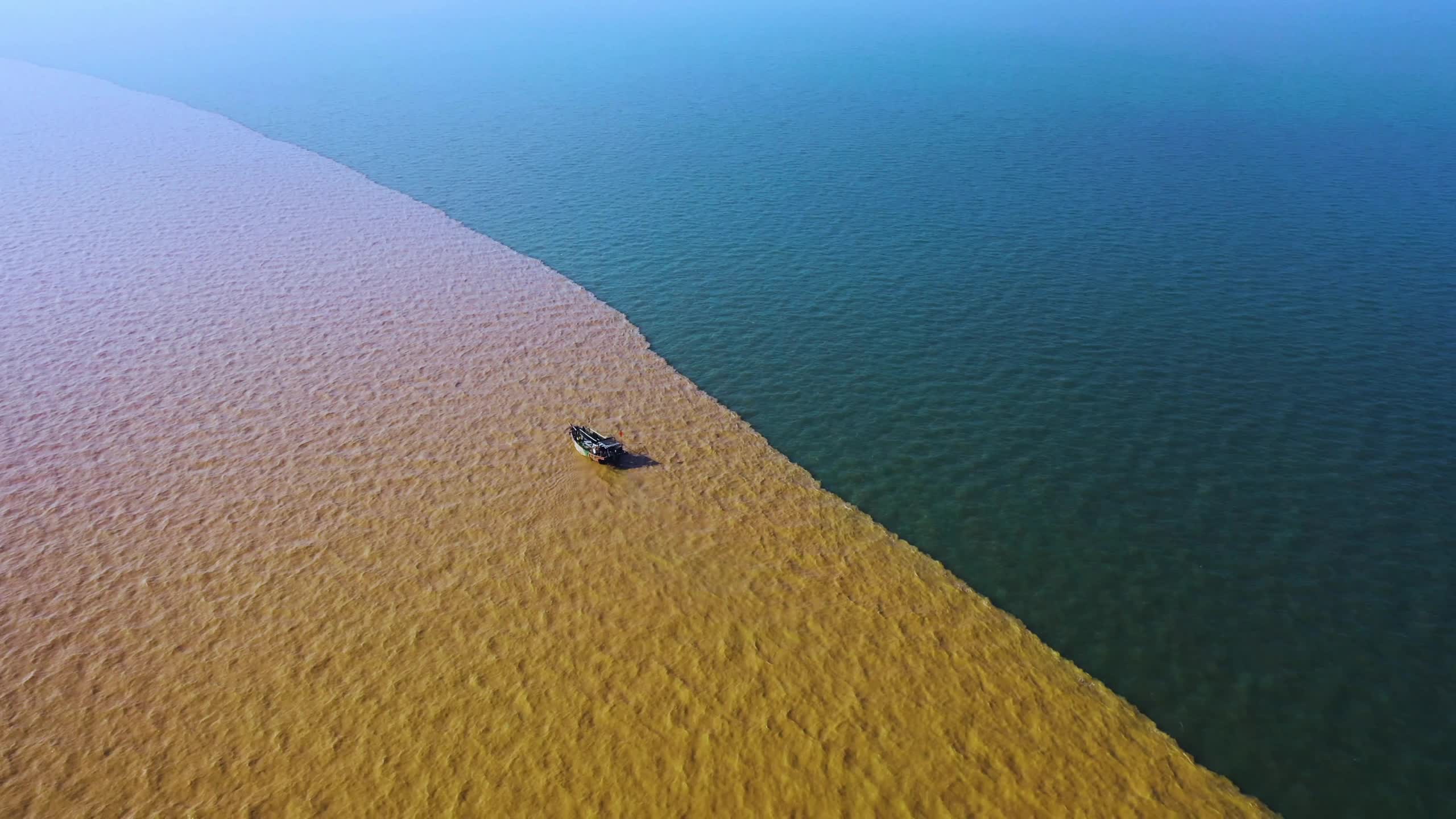 美丽东营2023东营四时光景讲与你听