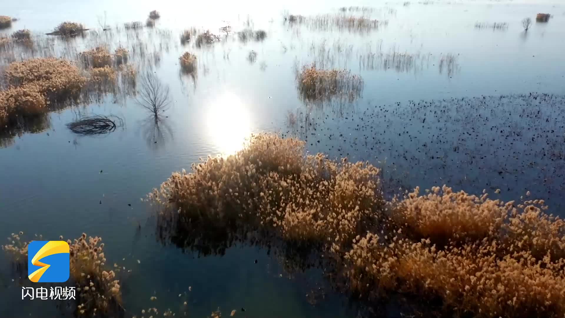 鄒城冬日孟子湖風光無限好