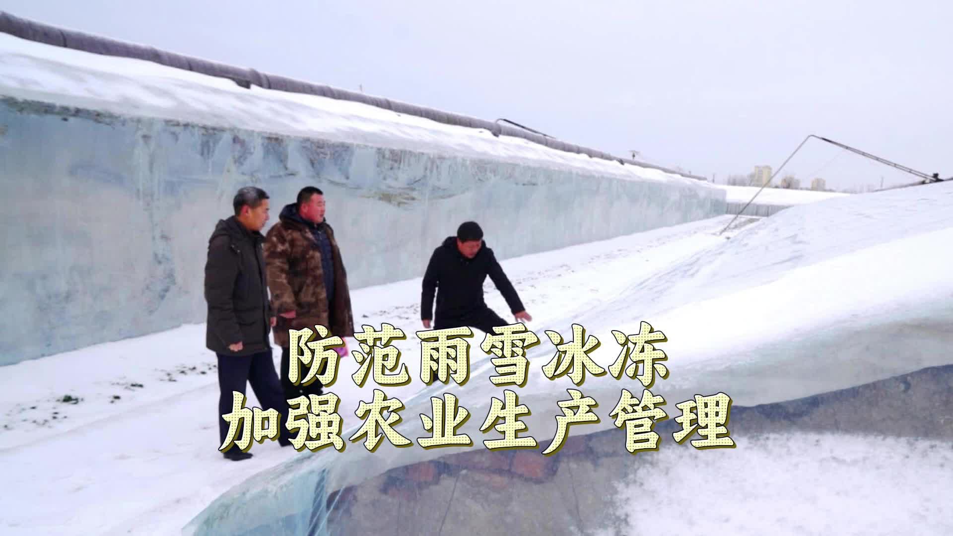 【邹视频·新闻】42秒 | 防范雨雪冰冻加强农业生产管理