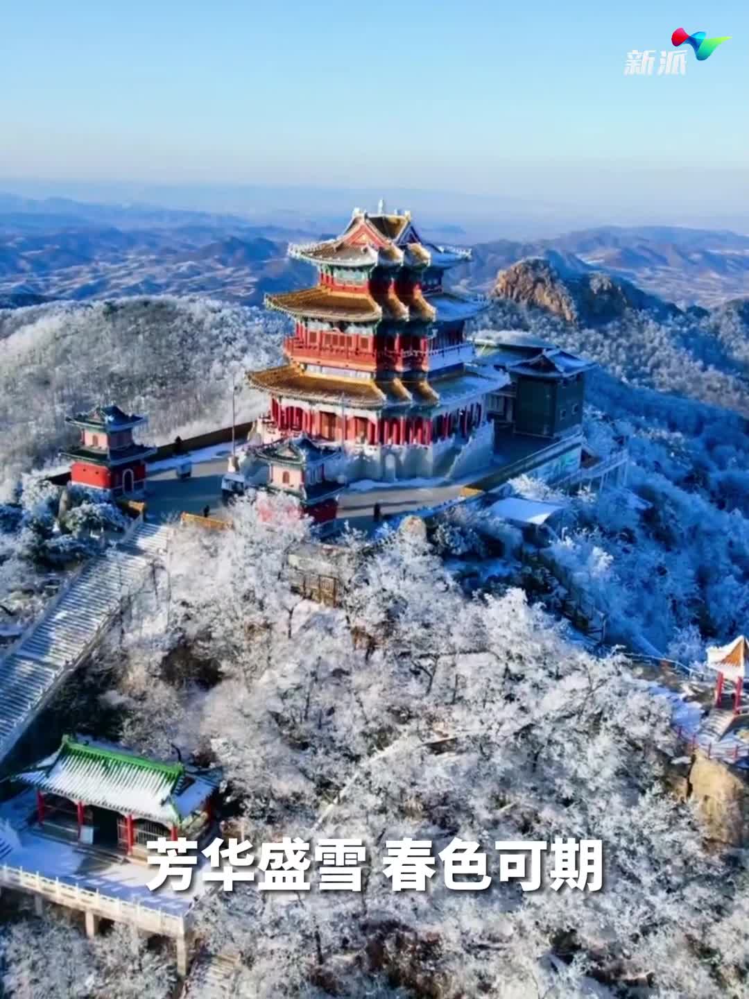 你的城市下雪了吗？_新派网-V新派客户端-潍坊市广播电视台