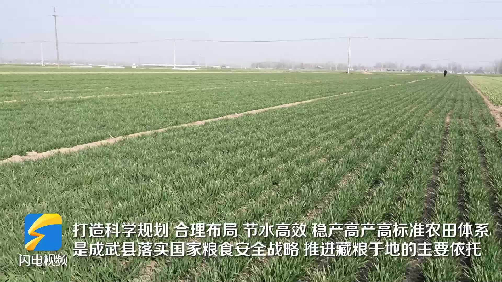 菏泽成武：加快推进现代水网建设 夯实50万亩农田灌溉根基