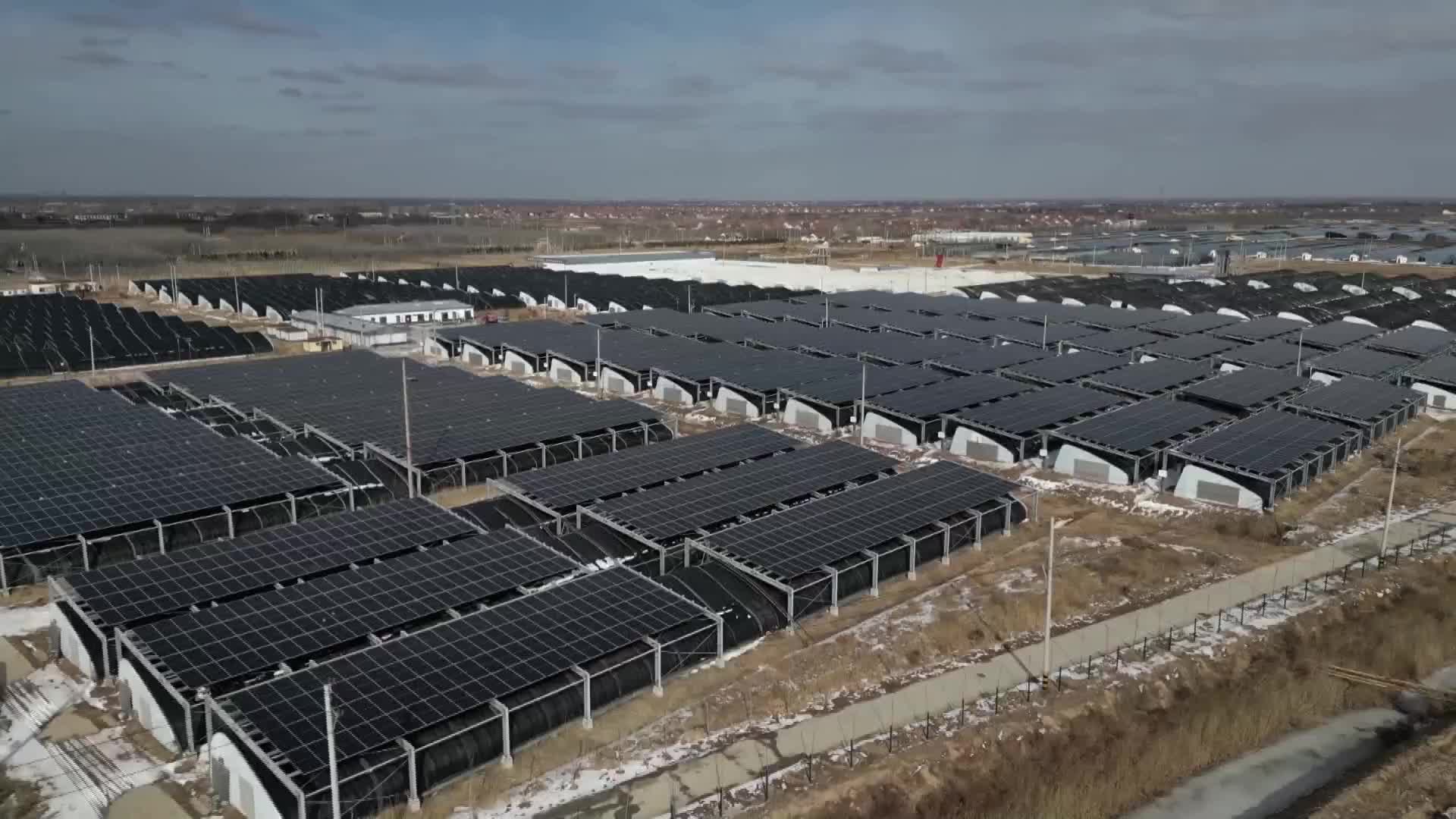 东营利津光伏农业大棚一地两用借光生金