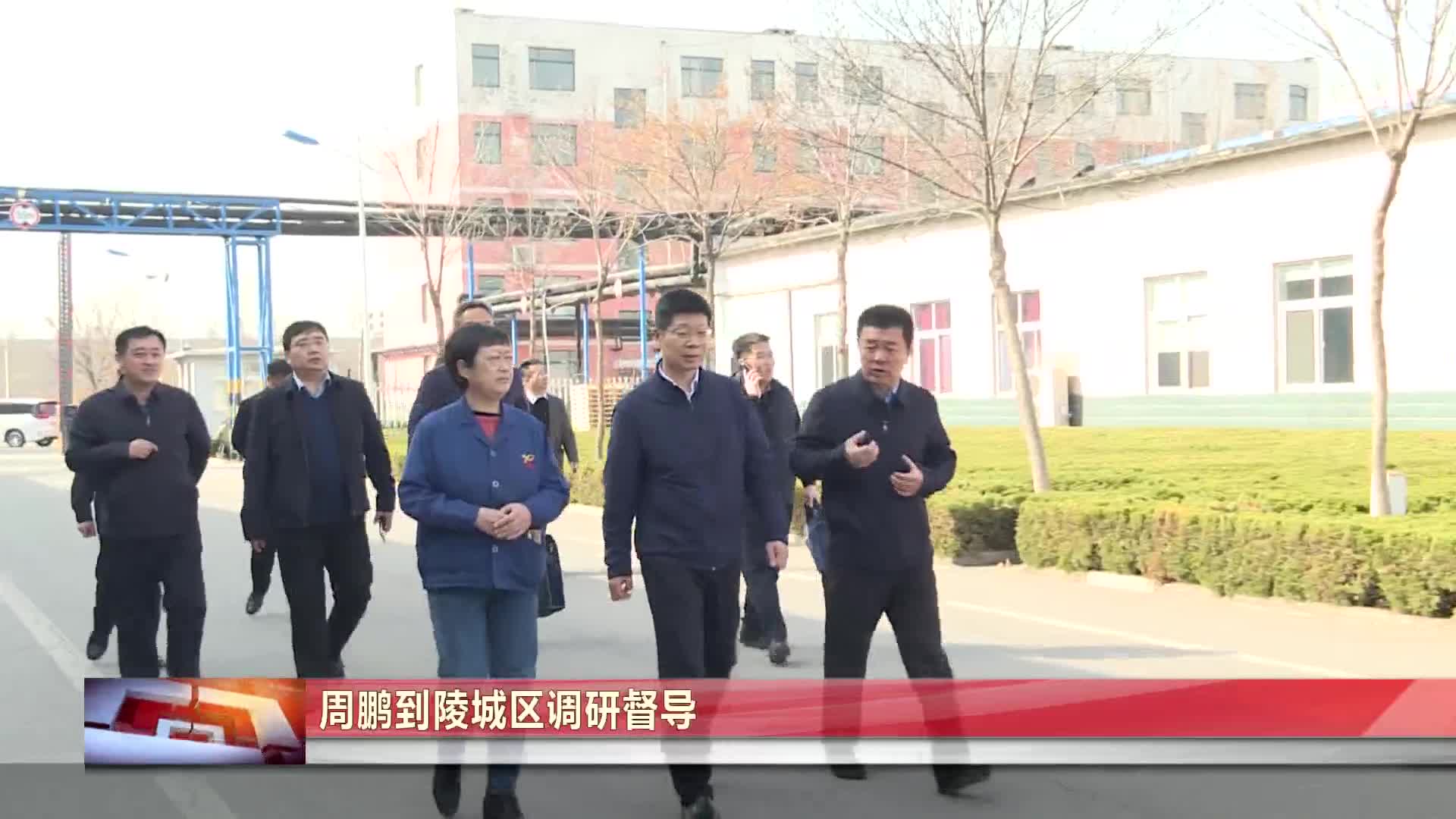 德州市委常委市纪委书记市监委主任周鹏到陵城区调研督导