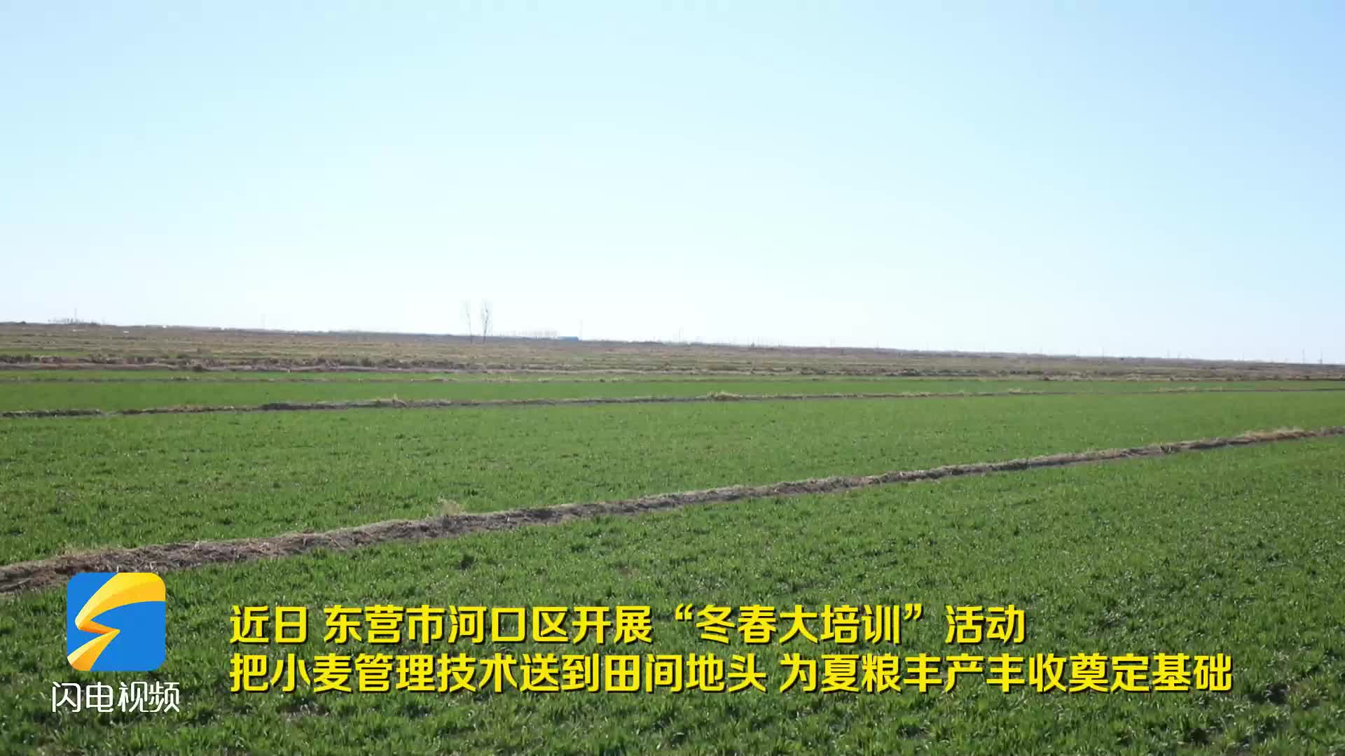 东营市河口区开展冬春大培训助推夏粮增产丰收
