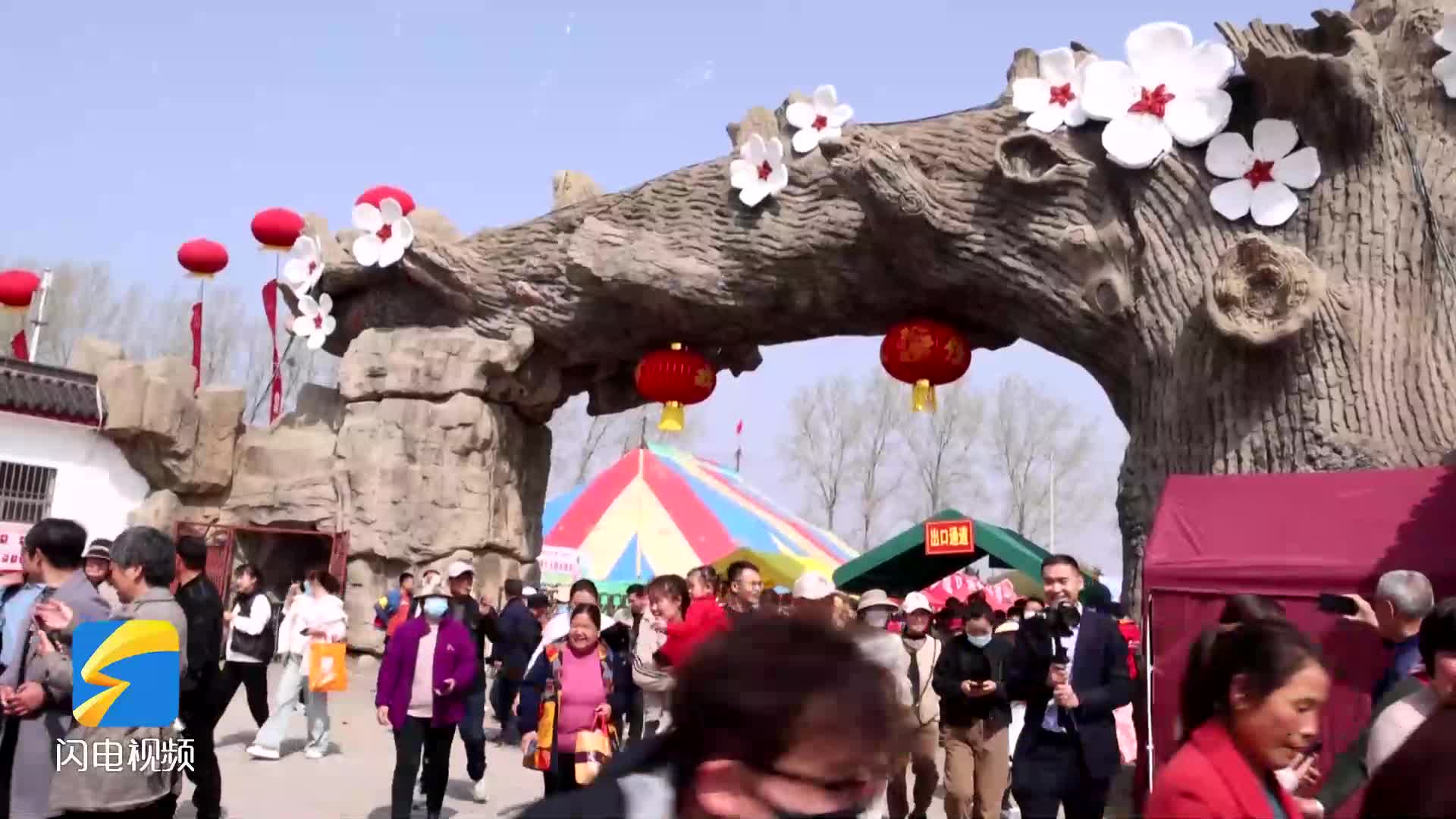 薛河梨乡第十三届梨花节开幕2024春季黄河大集福乐枣庄同时启动