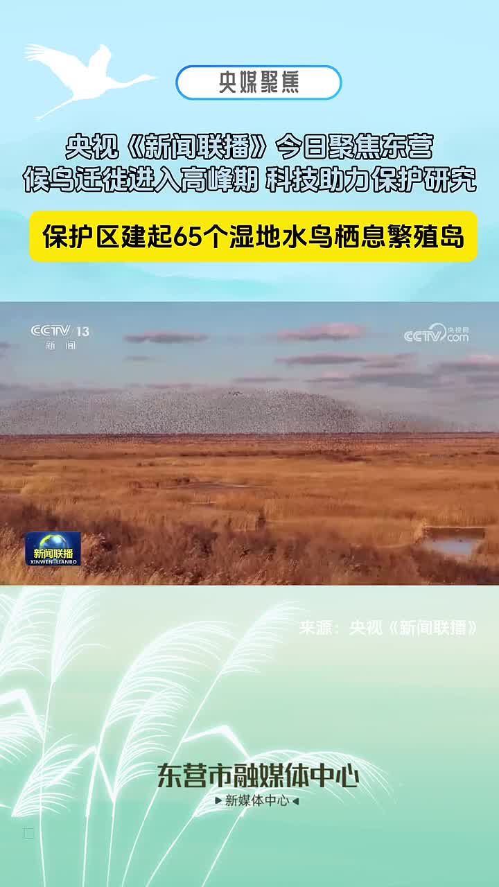 央视新闻新闻联播今日(新闻联播今日中央新闻联播)