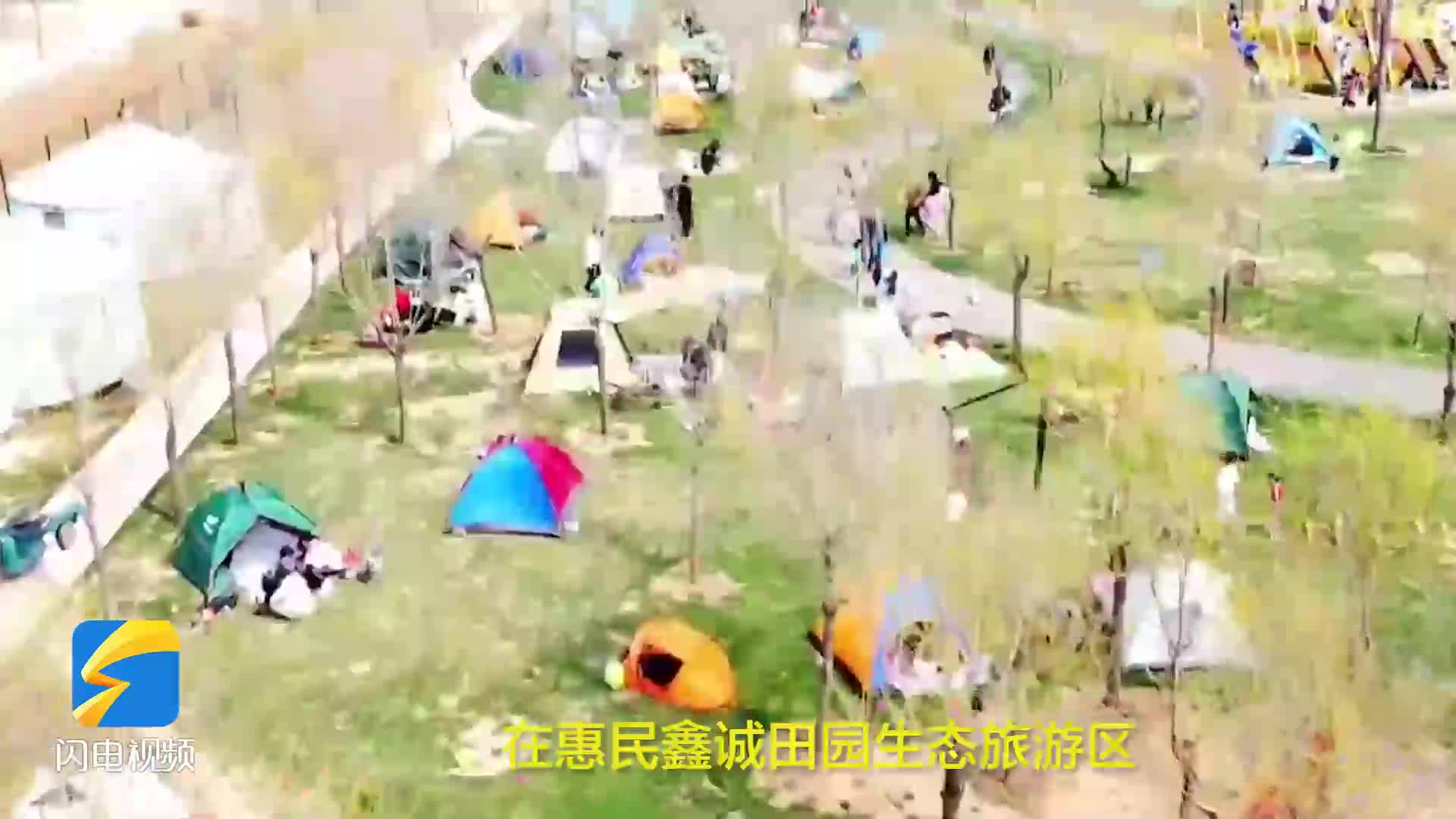 滨州：赏花 露营 遛娃 享受春日的假期时光