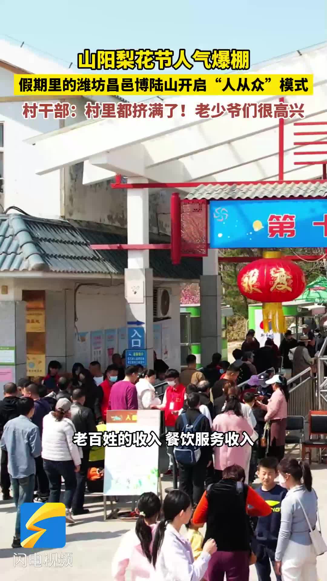 潍坊昌邑千年梨园迎客来清明假期山阳梨花节人气爆棚