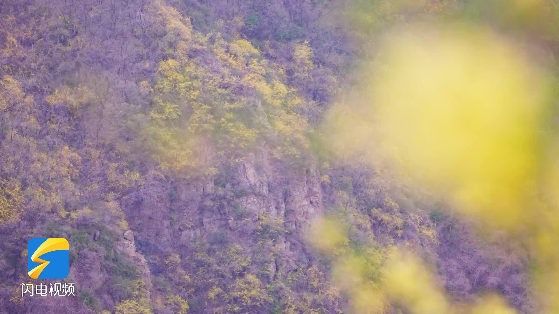 邹平：登山攀岩 赏花打卡 感受春日的山峰奇观