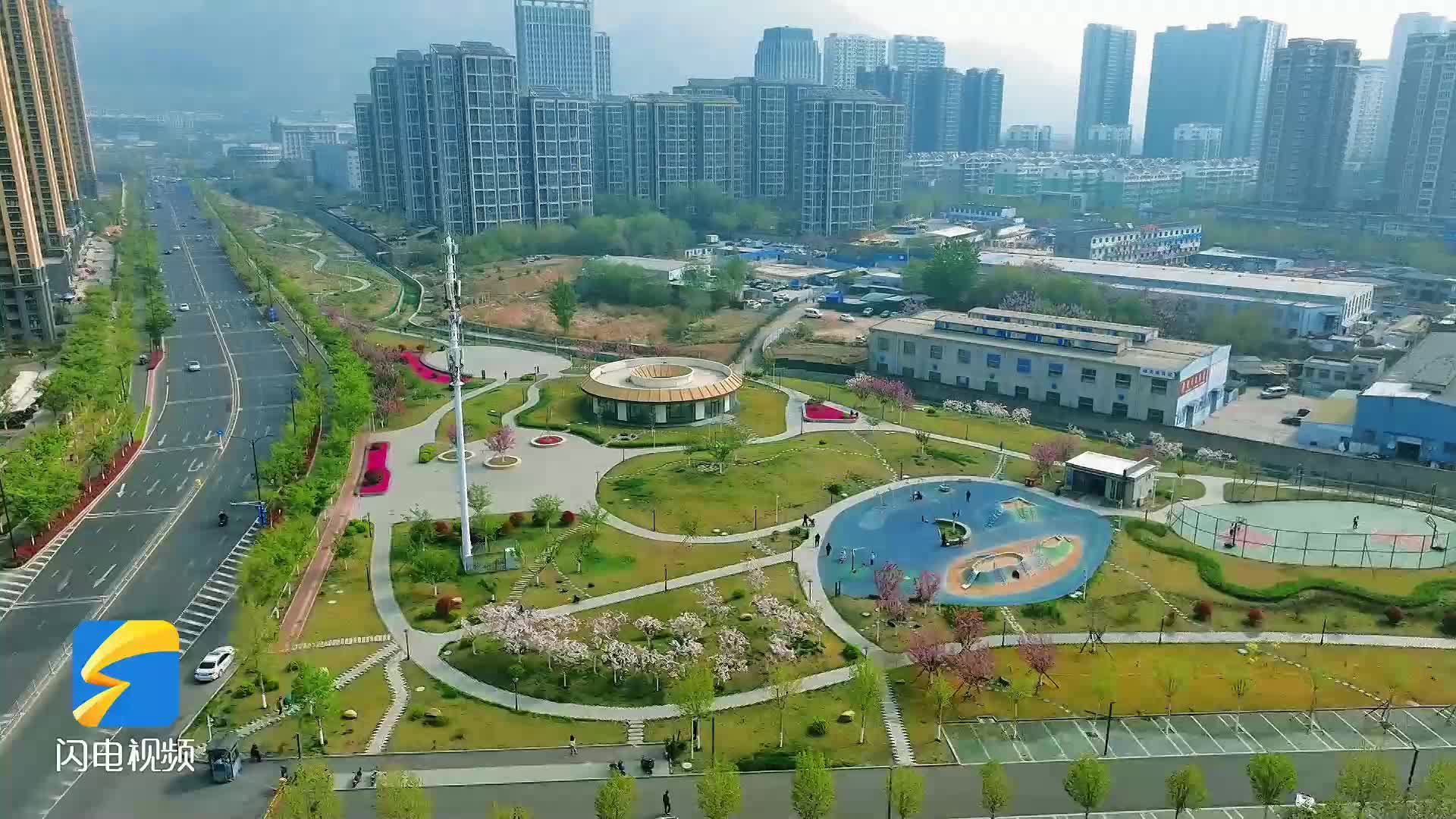 泰安市岱岳区粥店路街角公园花开枝头春意浓扮靓城市微空间