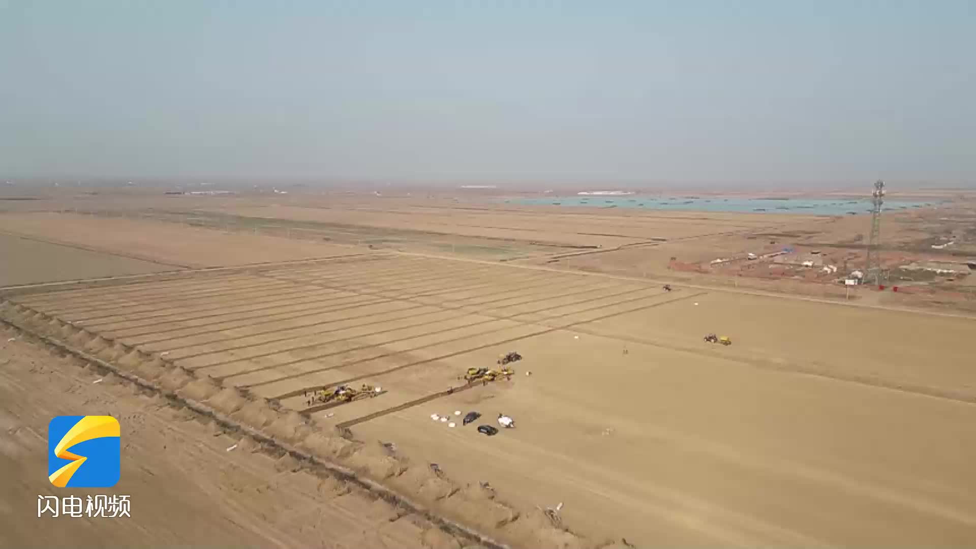 利津:因地制宜探索创新 盐碱地变身"新粮仓"