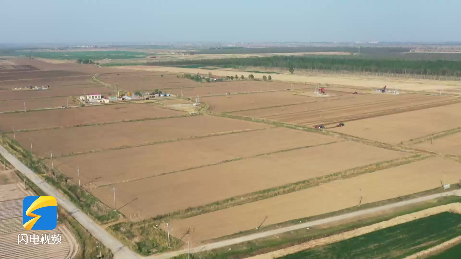 全国最大菊芋专业种植基地在黄河三角洲开播