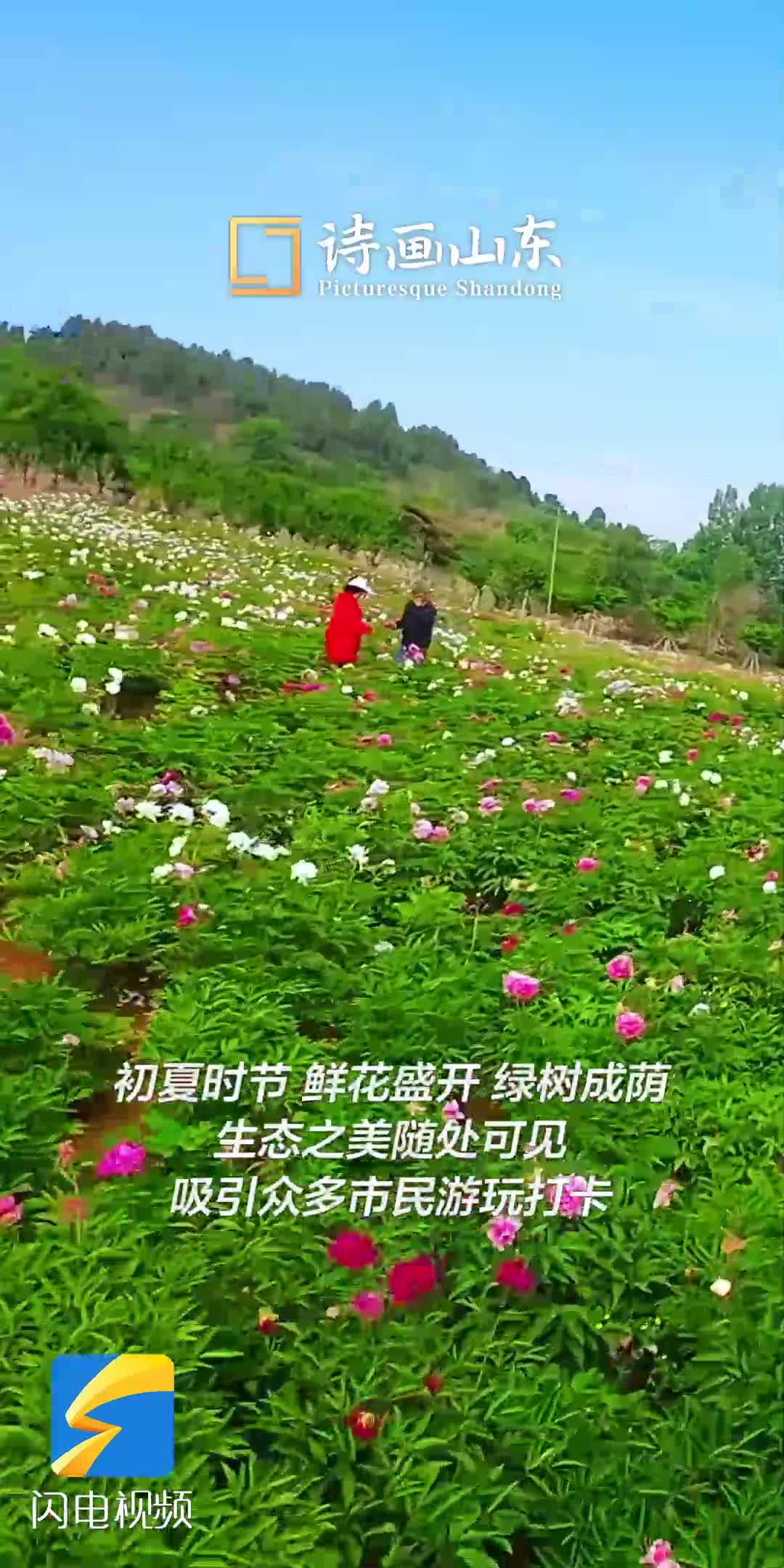 棗莊：暢行鳳凰綠道 盡享生態之美