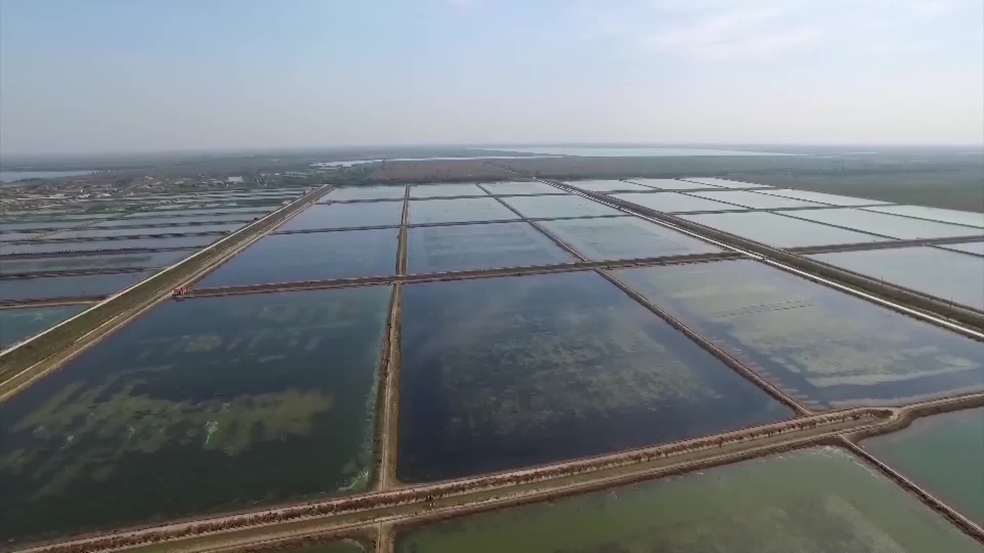 东营:聚力推动黄河口大闸蟹产业高质量发展