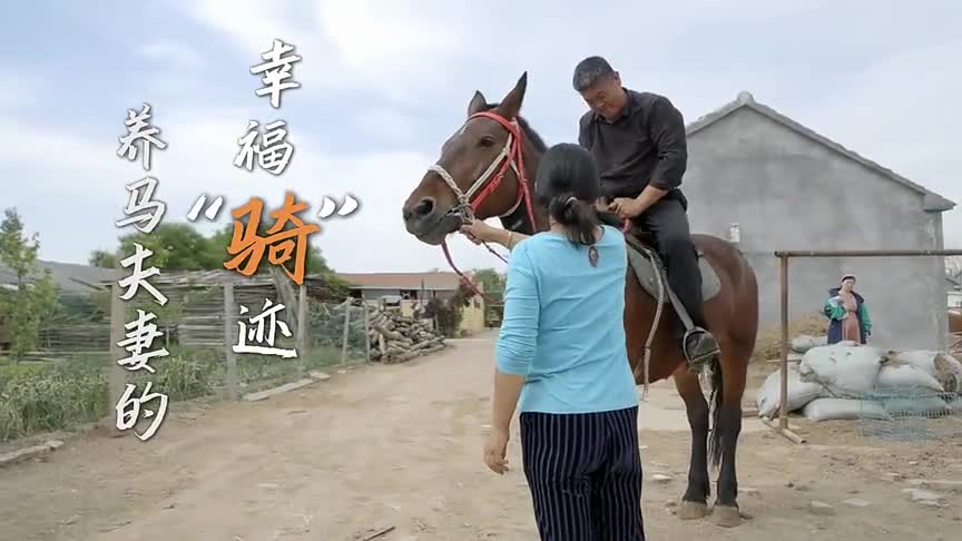 平原:养马夫妻的幸福"骑"迹