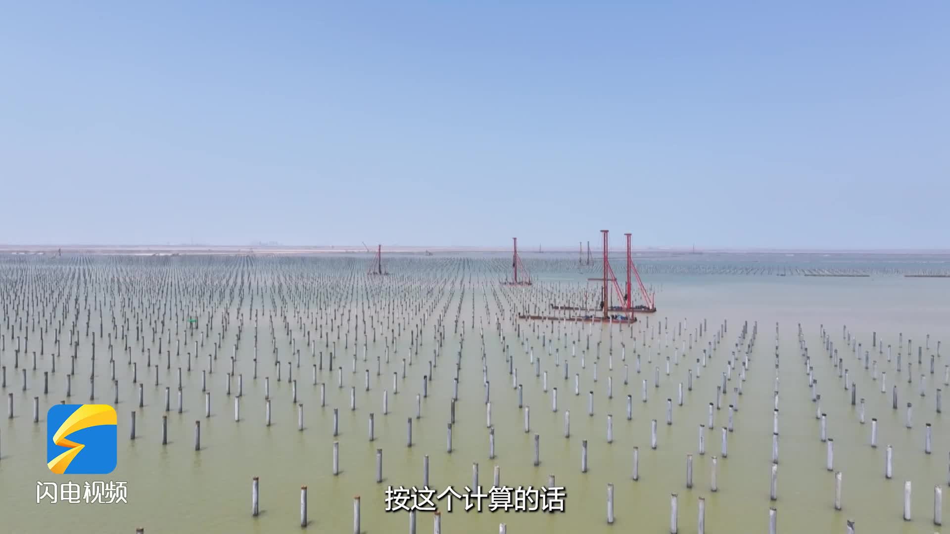 大海變“森林”！國內首個立體分層確權光伏用海項目濱州沾化新進展 整體打樁預計6月底完成