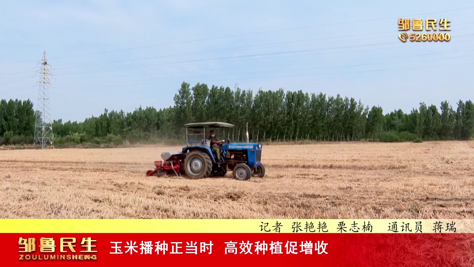 【视频新闻】玉米播种正当时 高效种植促增收