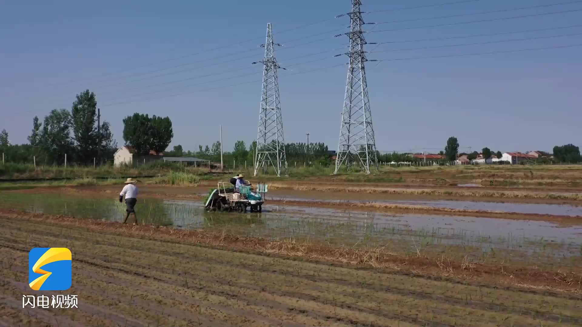 鄒平：特色種植代替傳統種植 140畝水稻插秧忙起來