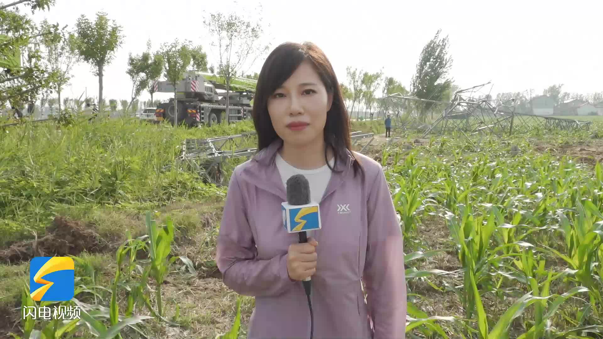 全力搶修！東明縣西部主力電網即將環網運行