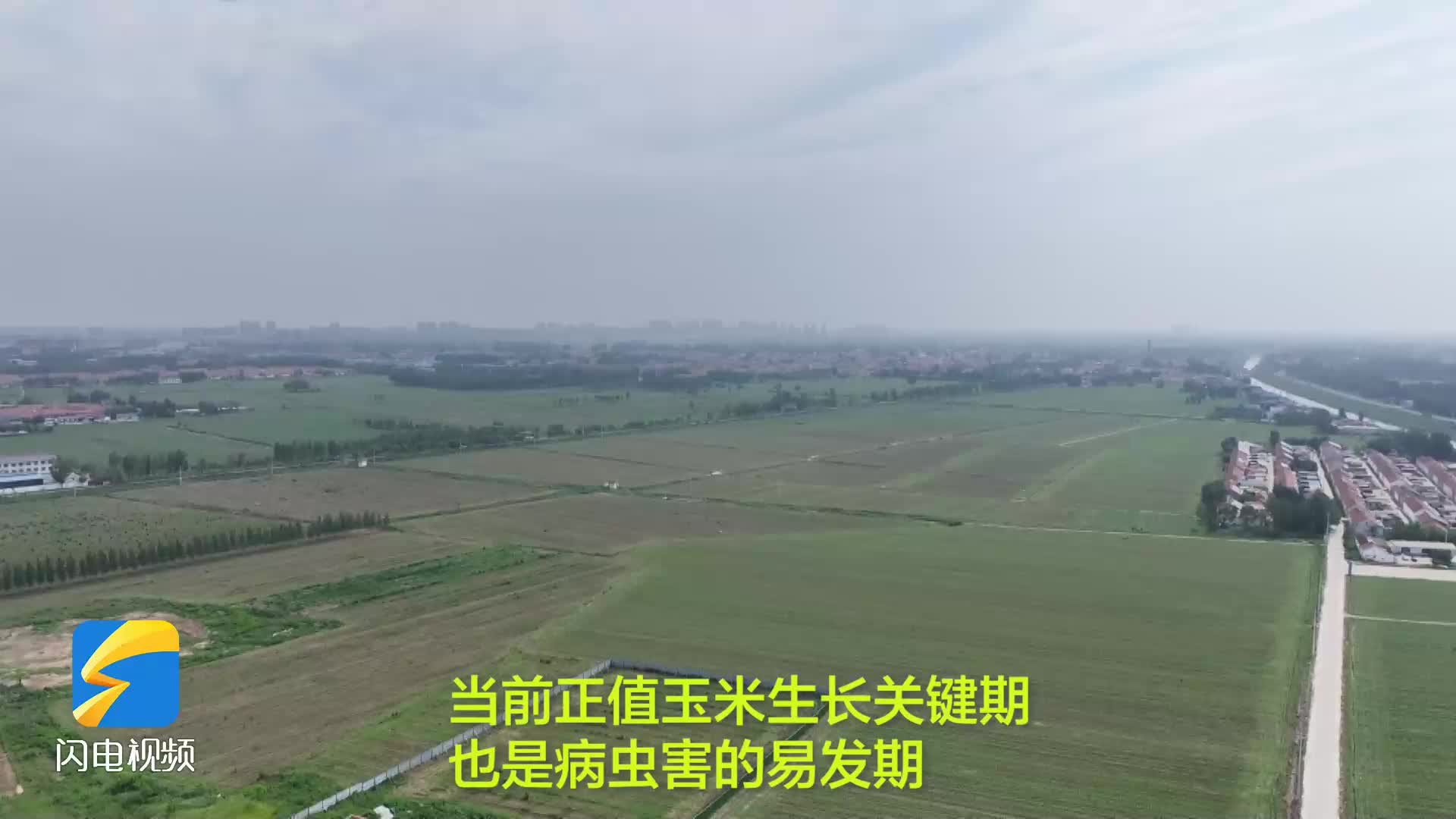 陽信：科技賦予農田管理 實時監控農作物旱澇狀況