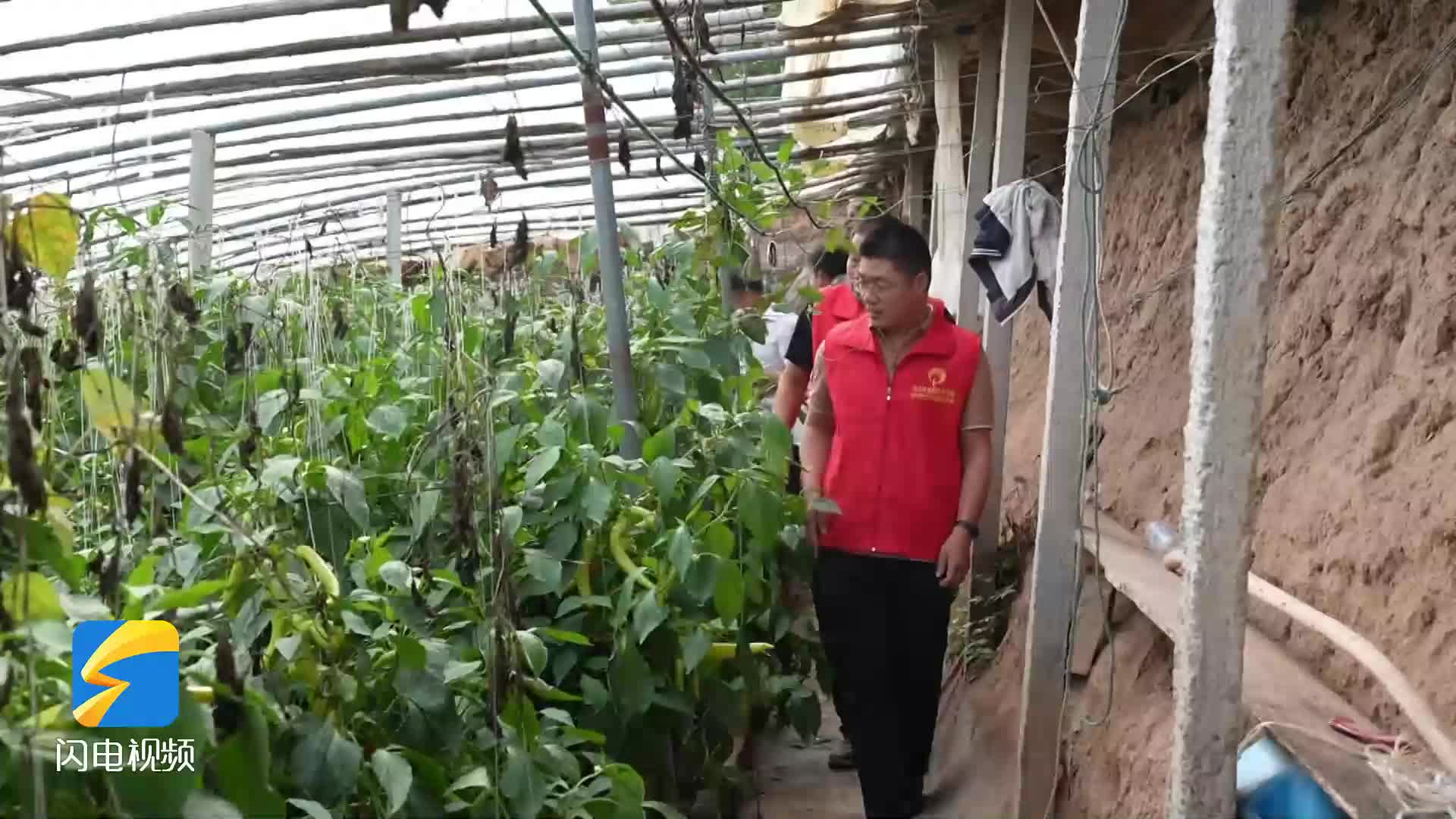 菏泽定陶区：农技专家支招蔬菜大棚管理 预防雨天不利影响