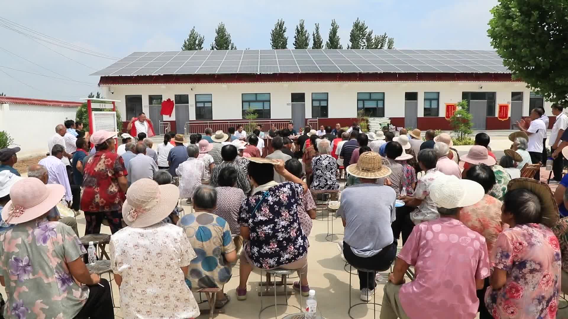 阳谷县安乐镇图片