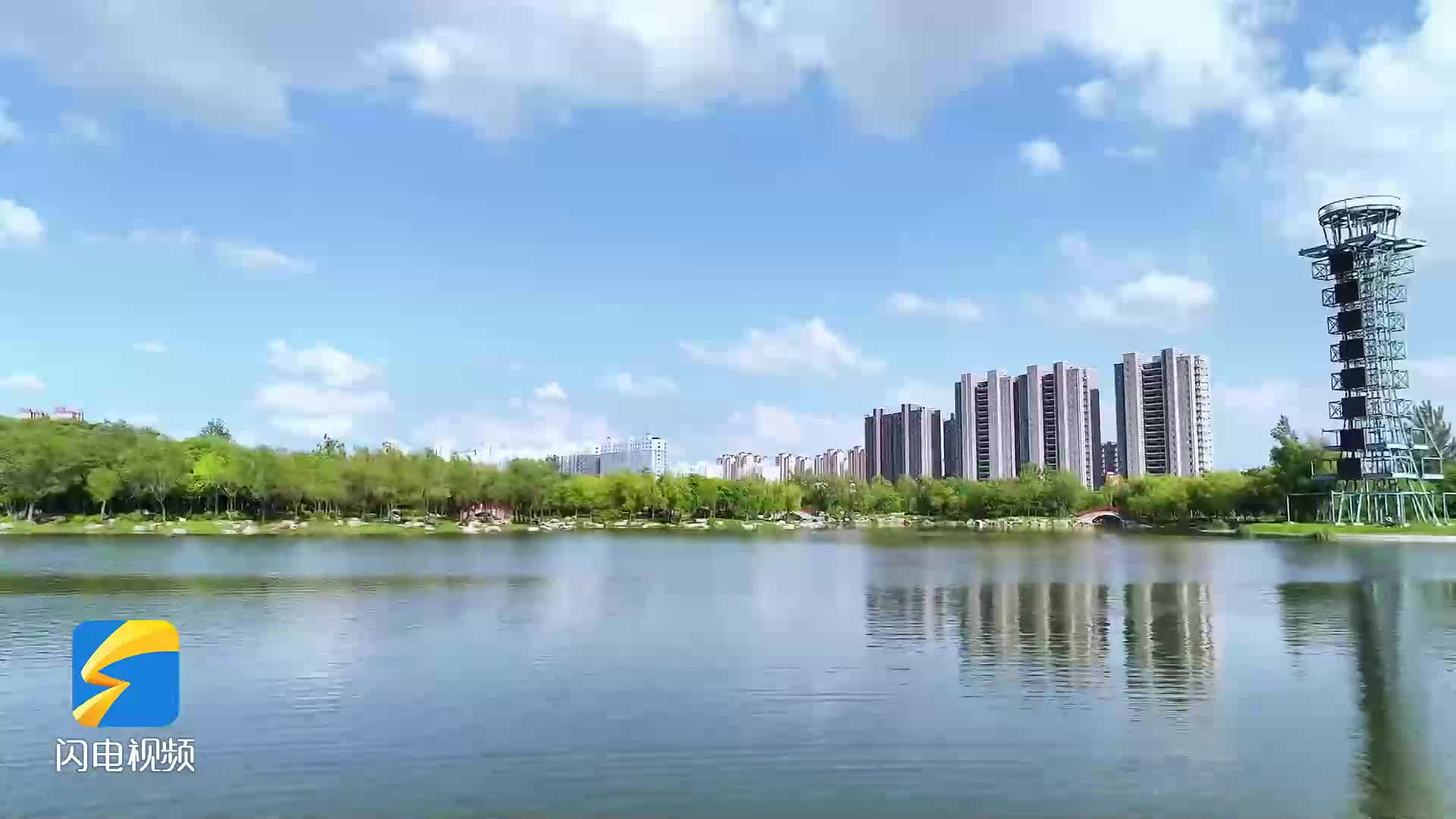 菏泽定陶：菏曹湿地好风光 雨后美景入画来