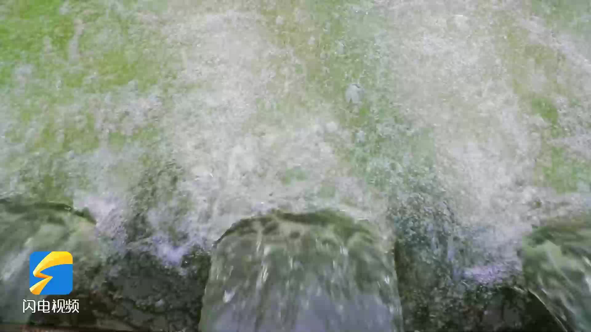 新泰：群泉喷涌 气势如虹