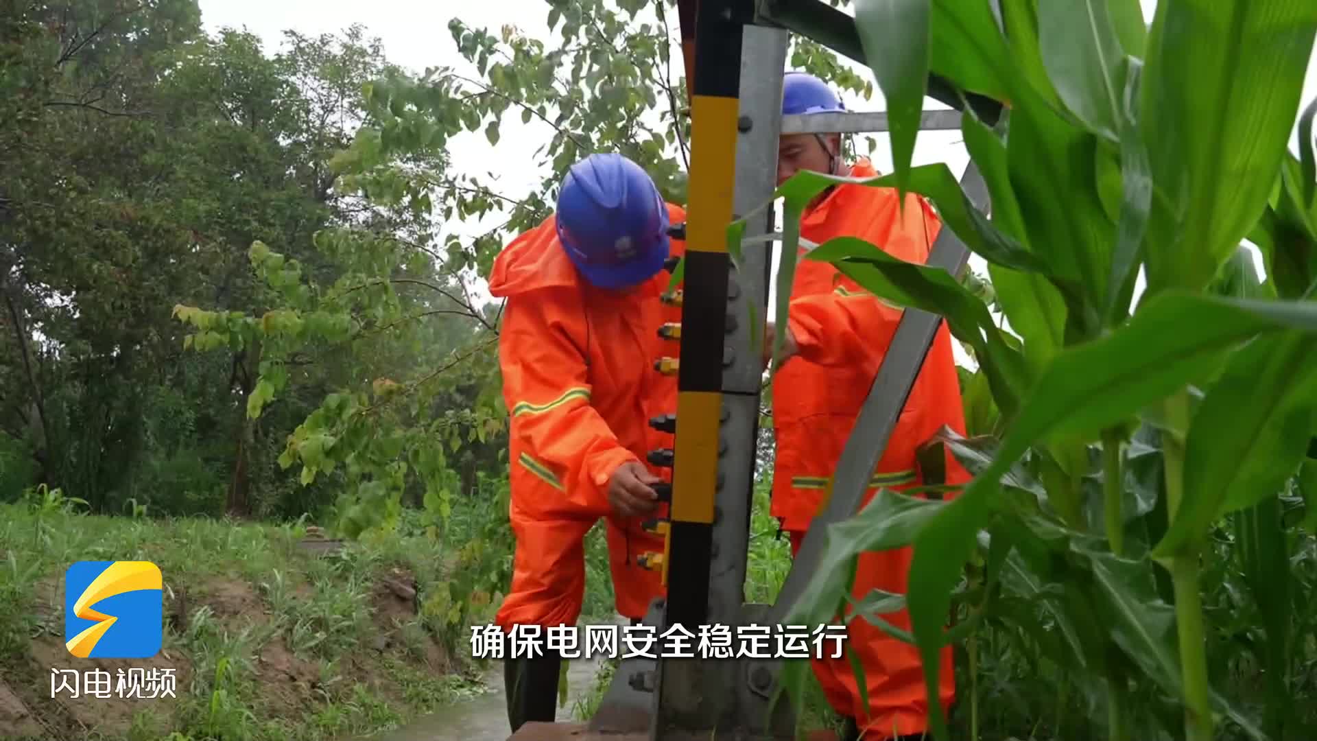 菏泽定陶：冒雨巡线 24小时护航电网安全运行