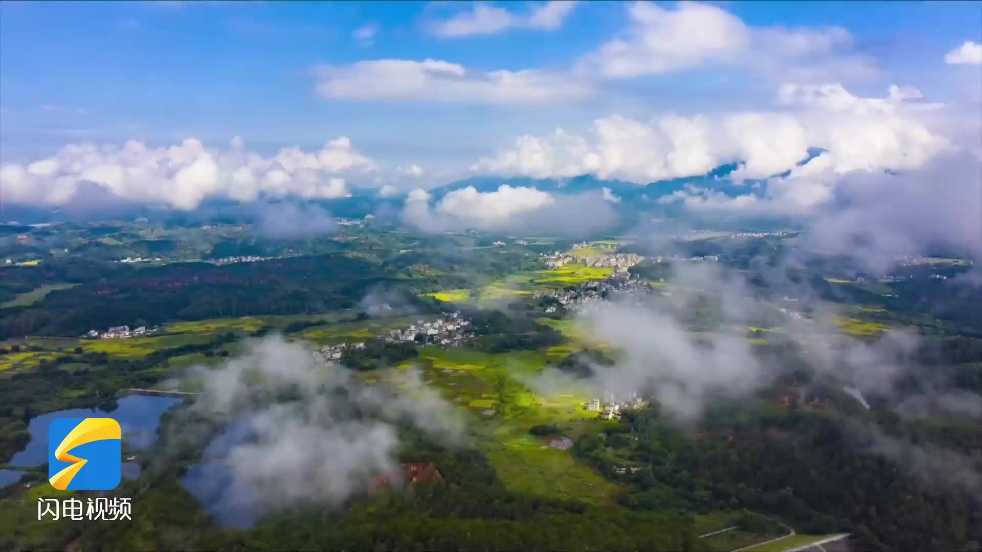 問政山東｜省農業農村廳：“五大振興”全要素推進 奮力繪就鄉村振興新畫卷