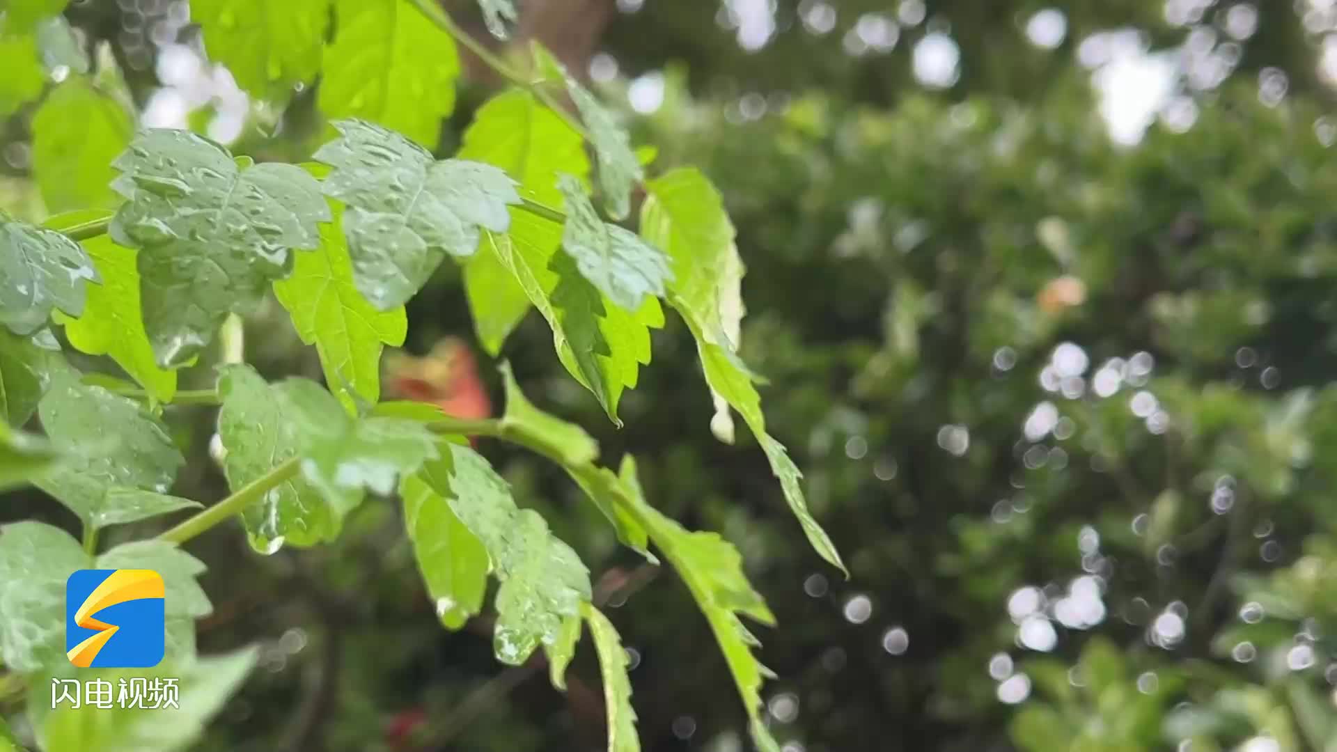 重要提醒！未來(lái)三天山東多雷雨天氣