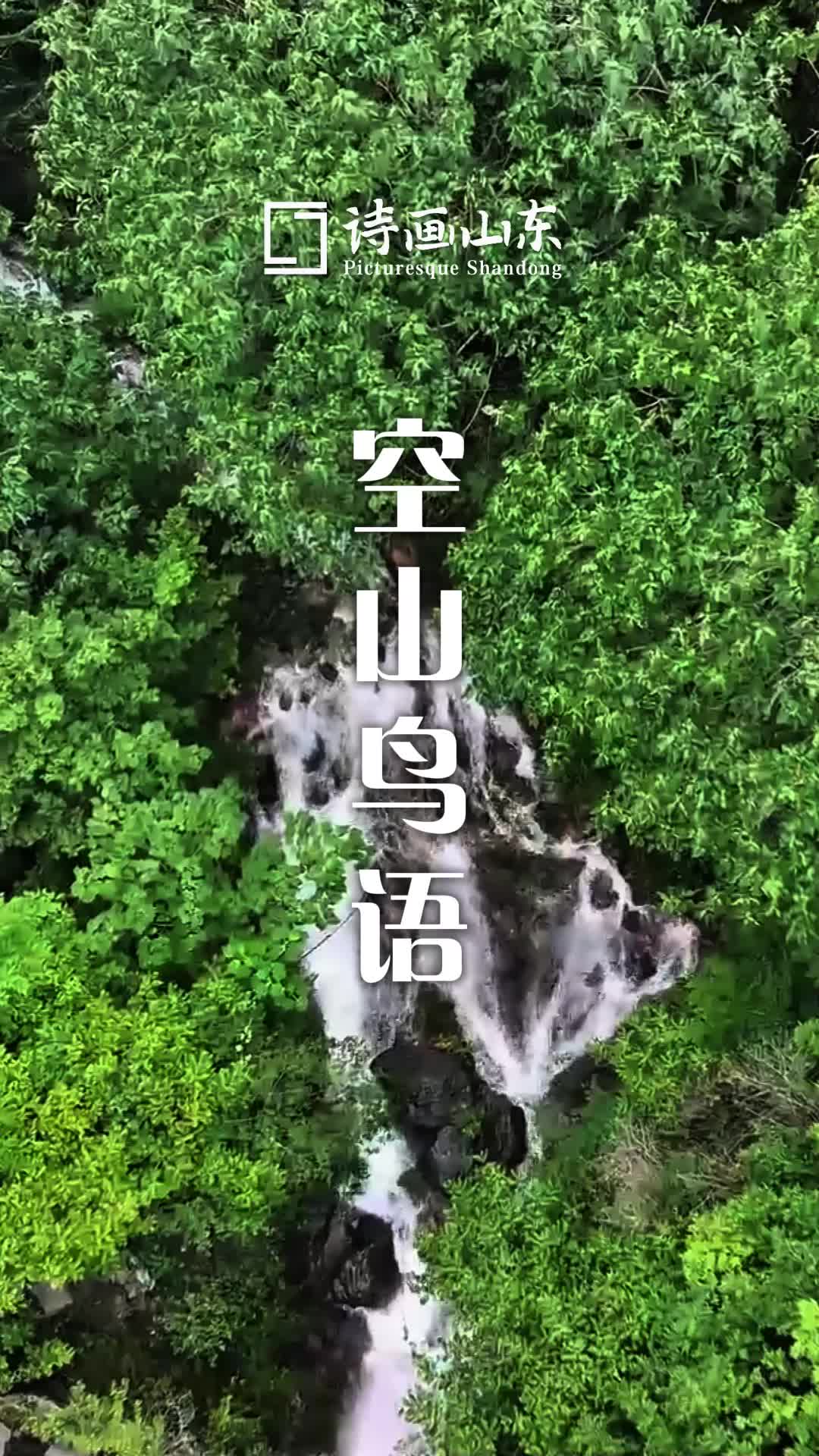 詩畫山東｜棗莊雨后瀑布潺潺 鳥鳴啁啾繞山間