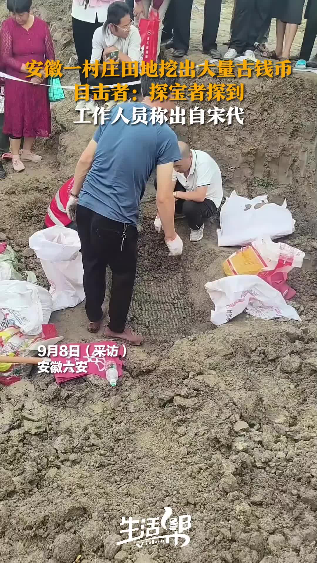 安徽一村庄田地挖出大量古钱币目击者：探宝者探到工作人员称出自宋代