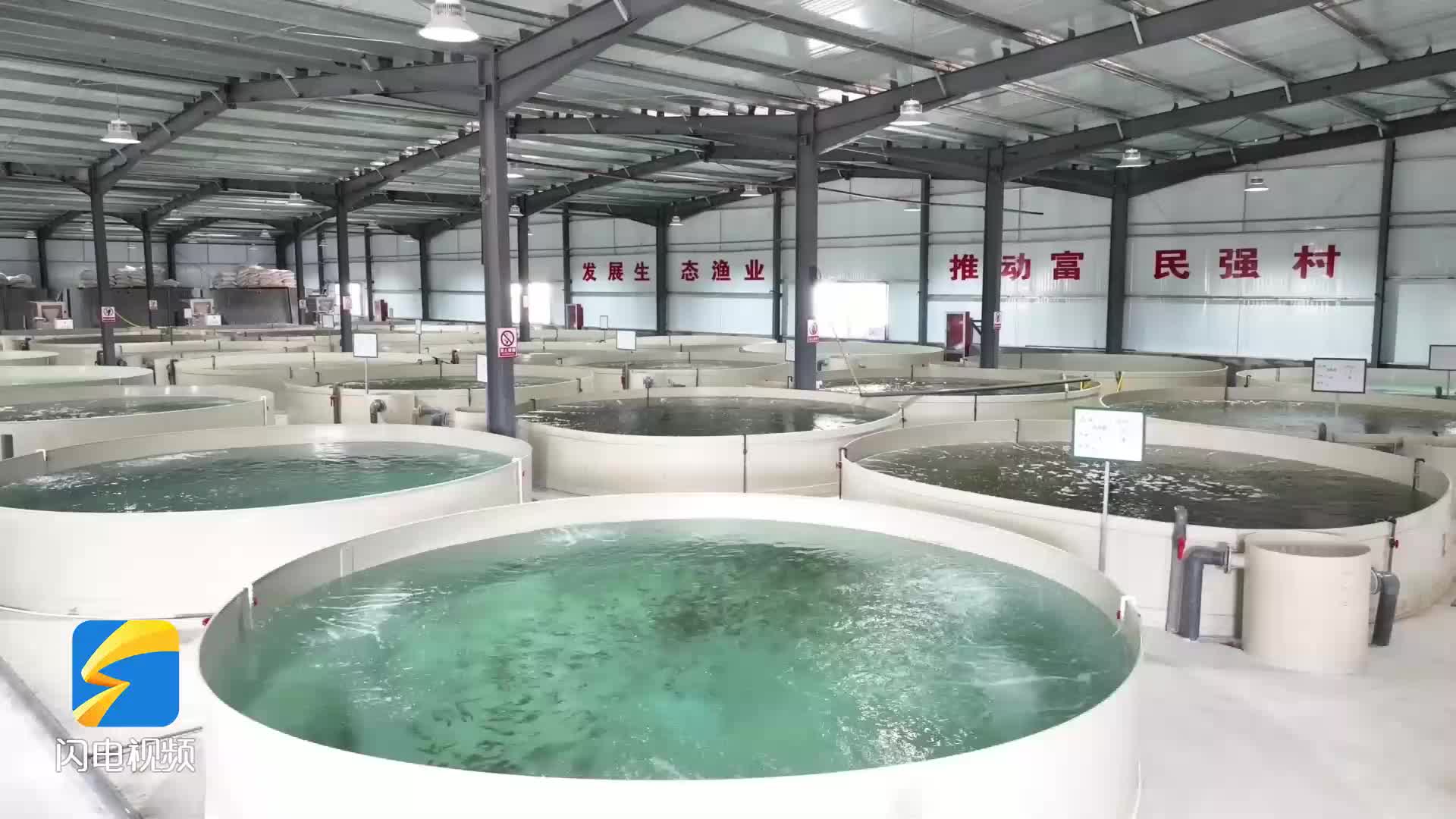 东平县：鱼儿岸上养 致富新路子