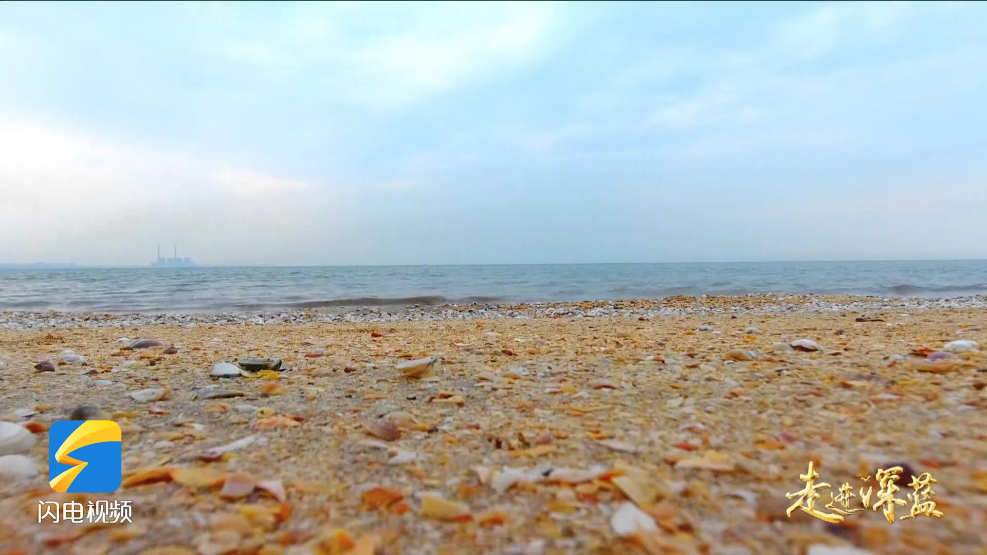 无棣贝壳堤岛:世界罕见自然奇观,唯一活态古贝堤展现自然演变奇迹