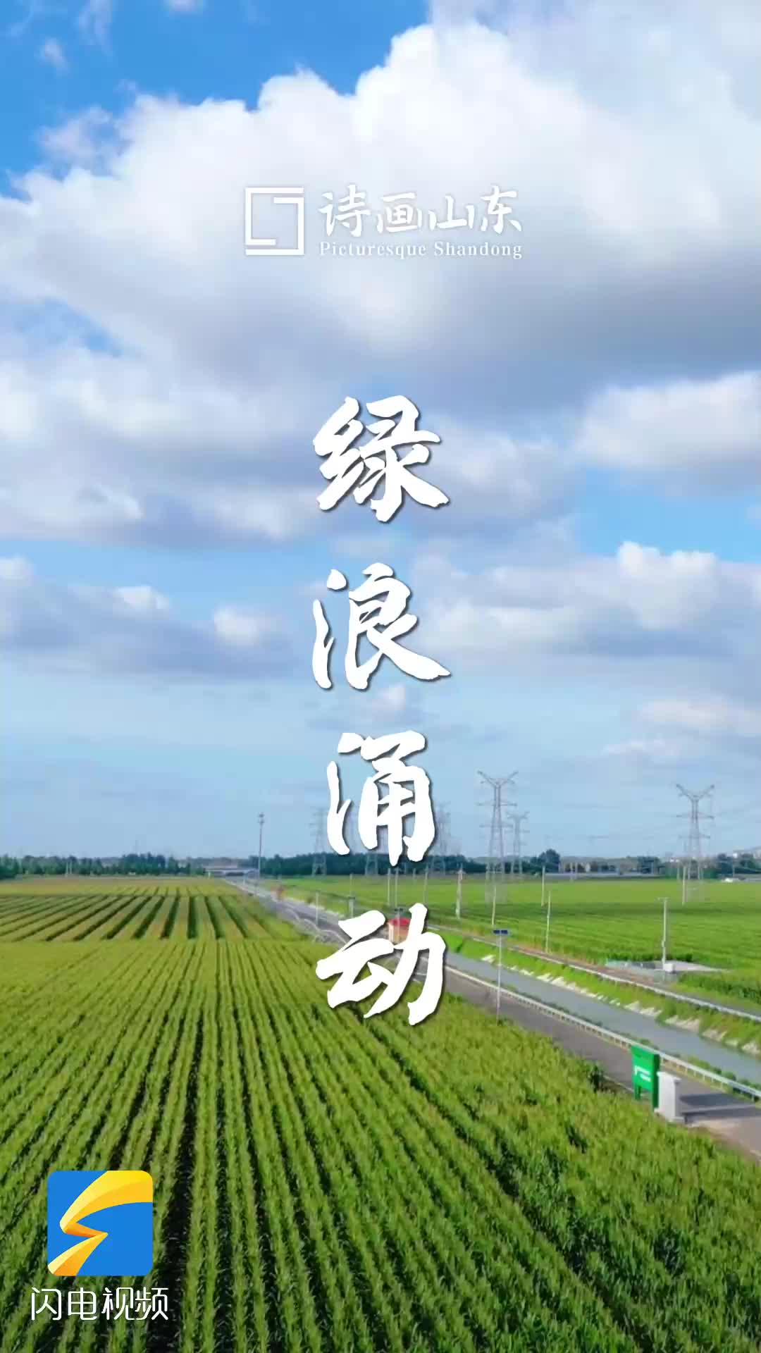 詩畫山東｜綠浪涌動 田埂之上奏響豐收的樂章